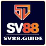 SV88 guide