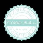 flower bud profile picture