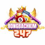 Rồng bạch kim 247