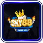 Sky 88