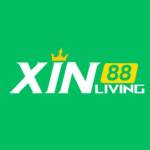 xin88living Profile Picture