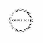 Opulence Chicago LLC