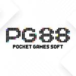 PG88 llc Profile Picture