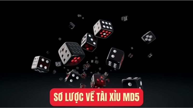 Tài Xỉu MD5 - Trò Chơi Cá Cược Trực Tuyến Top 1 Hiện Nay - Typhu88