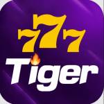 777tiger net