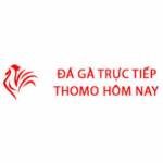 Đá Gà Trực Tiếp Thomo Hôm Nay profile picture