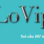 LoVip 24h Profile Picture