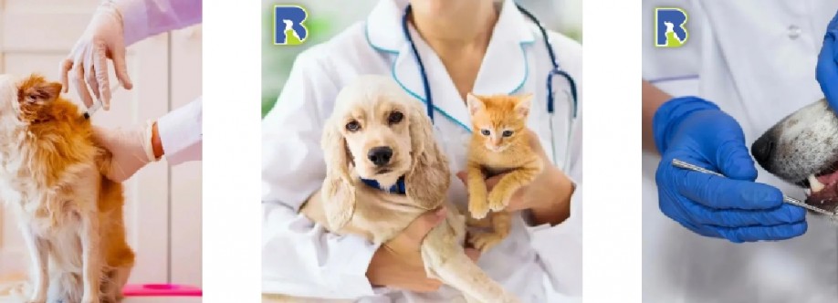 Brooker Ridge Animal Hospital Cover Image