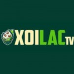 Xoilac TV Profile Picture