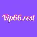 Vip 66