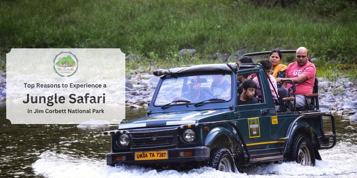 Experience a Jungle Safari in Jim Corbett National Park