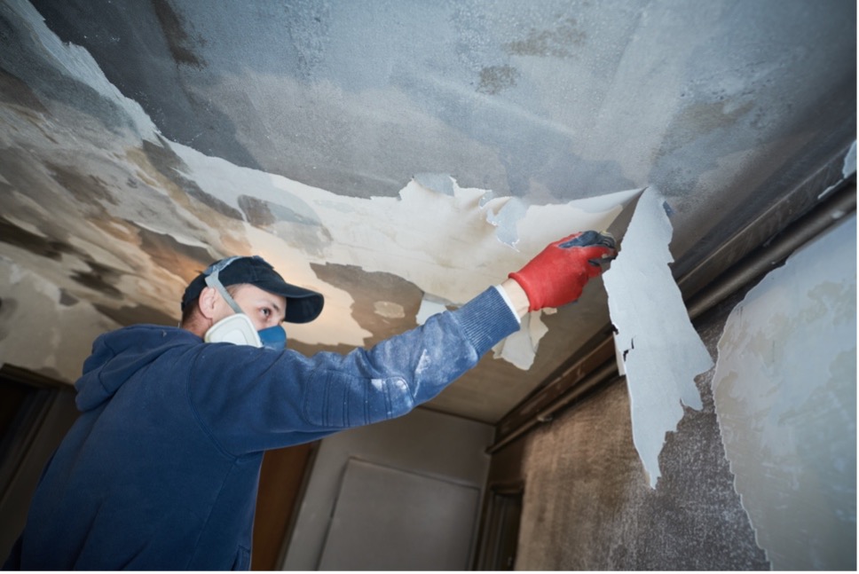 Why Professional Smoke Damage Cleanup is Essential for Effective Restoration