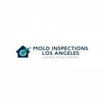 Mold Inspections Los Angeles