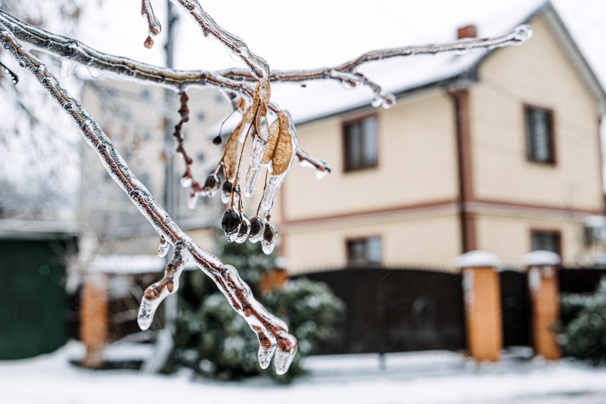 How Seasonal Weather Changes Affect Property Restoration Needs