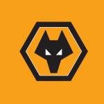 Wolves fanclub Wolves VN