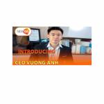 CEO Vuong Anh