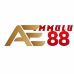 AE88 fmmulu