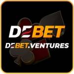 debet ventures