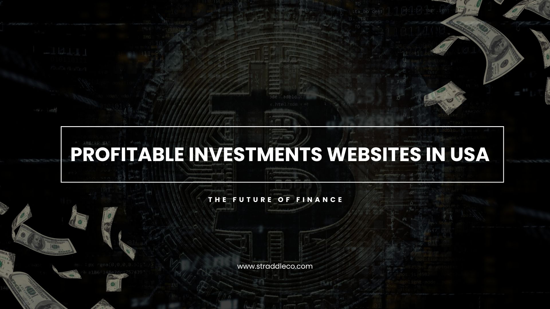 Profitable Investments Websites in the USA | Straddleco