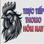 THOMOHOMNAY ĐÁ GÀ THOMO TRỰC TIẾP HÔM NAY