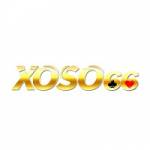 xoso66vn co