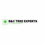 BC Tree Experts