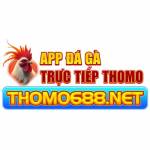 THOMO688 NET