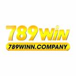 789winn company Profile Picture