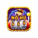 Nohu conggame