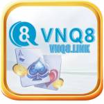 VNQ8 link Profile Picture