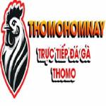 ĐÁ GÀ THOMO HÔM NAY TRỰC TIẾP TẠI CAMPUCHIA