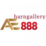 AE888 harngallery