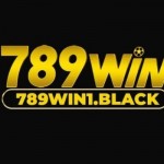 789Win 1black