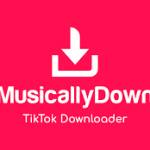 musicallydownloader