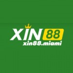 XIN88 miami Profile Picture