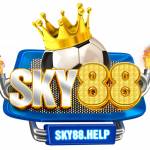 SKY88 help