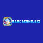 Bancaxeng Biz