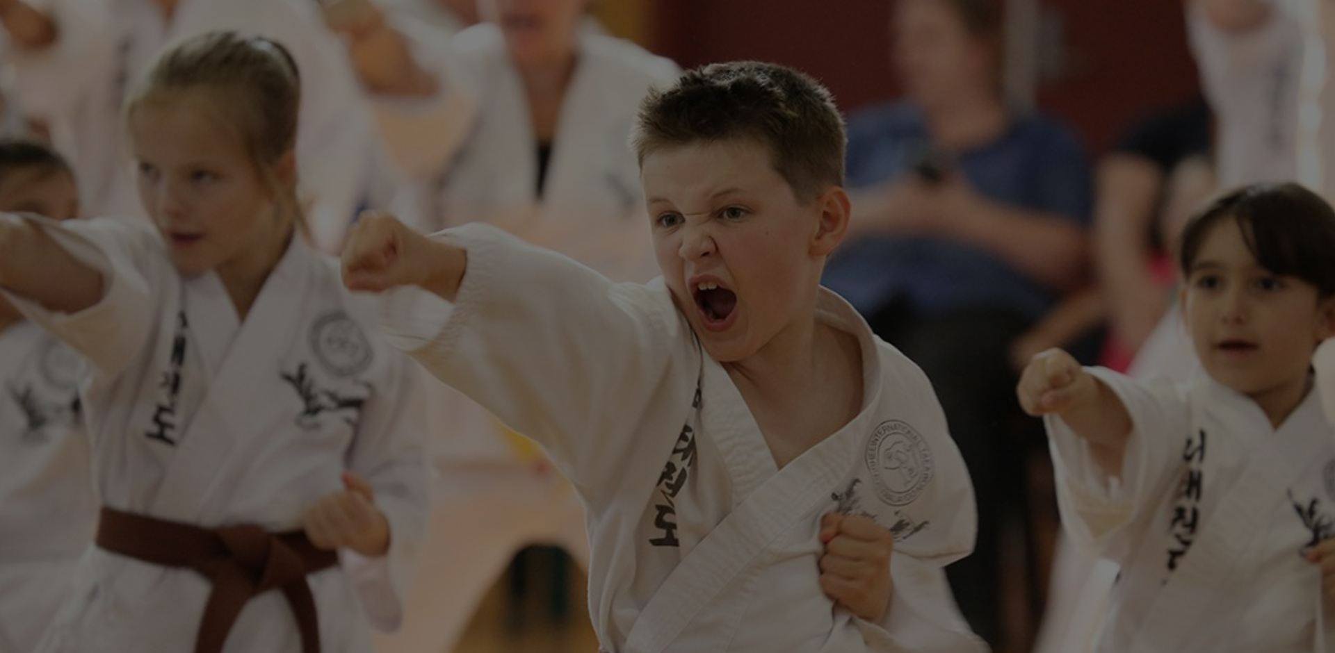 TaeKwonDo Training & Lessons Fairfield | Rhee Taekwondo Sydney