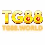 TG88 Profile Picture