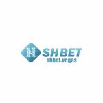 shbet repair