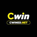 CWIN net