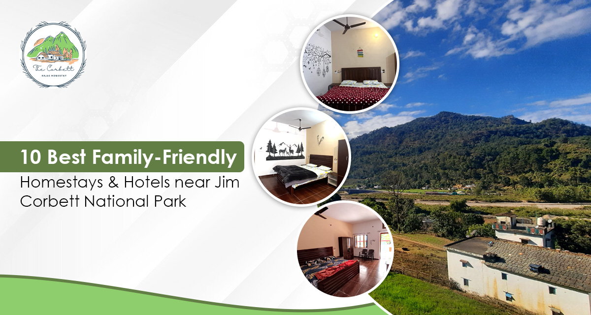 Family Friendly Hotels Near Jim Corbett National Park