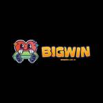 BigWin Online Casino