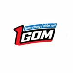 1gom Solutions