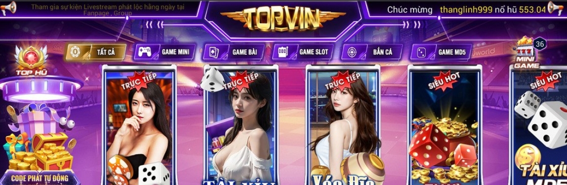 TOPVIN Cover Image