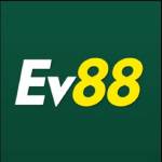 EV88 review