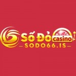 Sodo66 Profile Picture