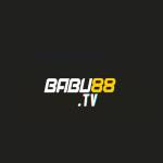 Babu88 Bookmaker home page