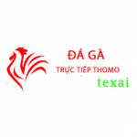 Đá Gà Trực Tiếp Thomo Hôm Nay