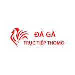 Đá Gà Trực Tiếp Thomo Hôm Nay